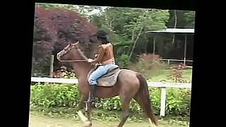 horse cartoon video